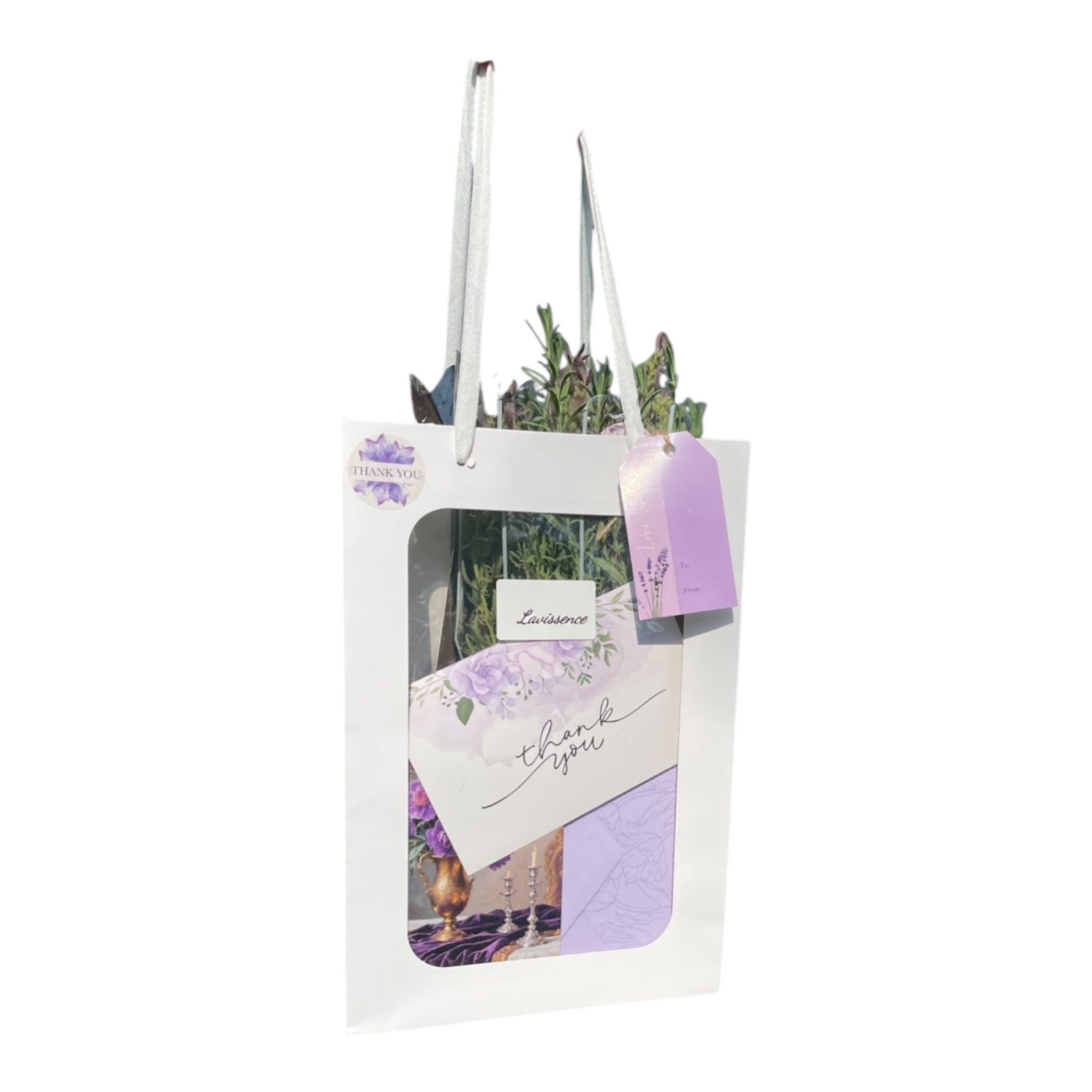 Lavissence – 100% Natural Lavender Gift Set